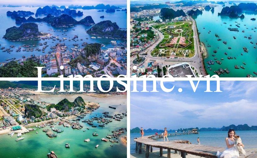 Top 11 Nhà xe khách Hà Nội Vân Đồn limousine giường nằm giá rẻ uy tín