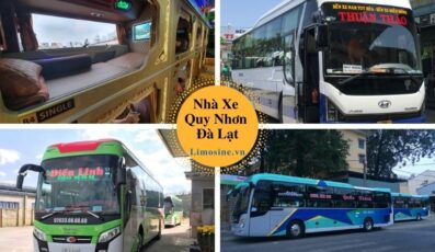 Top 10 Nhà xe Quy Nhơn Đà Lạt đặt vé xe khách limousine giường nằm