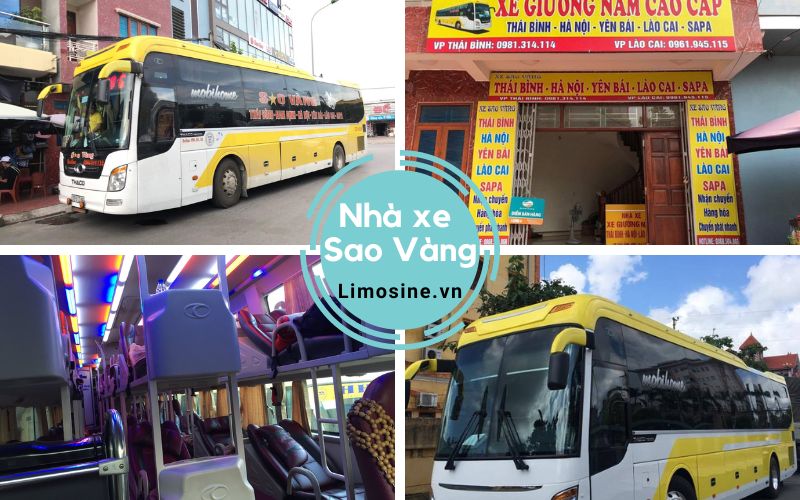 Nhà xe Sao Vàng - Bến xe, giá vé và số điện thoại đặt vé Sapa Thái Bình