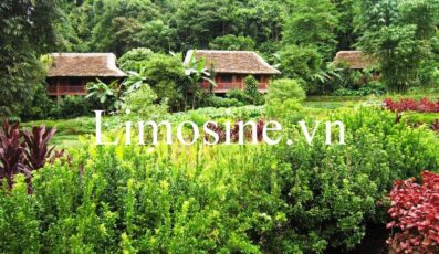 Top 11 Nhà nghỉ khách sạn homestay Hoàng Su Phì lodge view bungalow