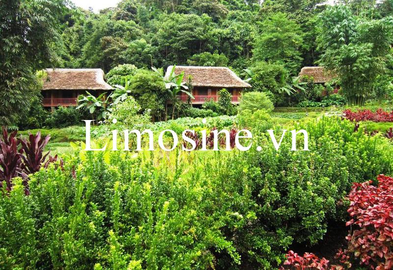 Top 11 Nhà nghỉ khách sạn homestay Hoàng Su Phì lodge view bungalow